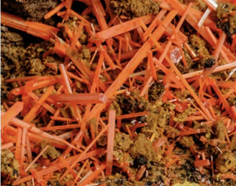 Obr. 2 - krokoit - detail - Adelaide Mine, Dundas, Tasmánie, Austrálie