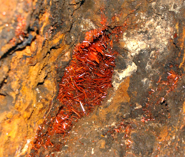 Obr. 4 - krokoitová kapsa in situ v dole Adelaide, Dundas, Tasmánie, Austrálie. Více podobných zajímavých fotografií a videí z těžby naleznete na webových stránkách The Adelaide Mining Company.